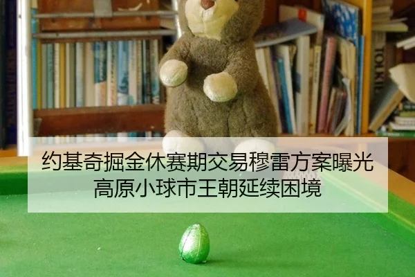 约基奇掘金休赛期交易穆雷方案曝光 高原小球市王朝延续困境